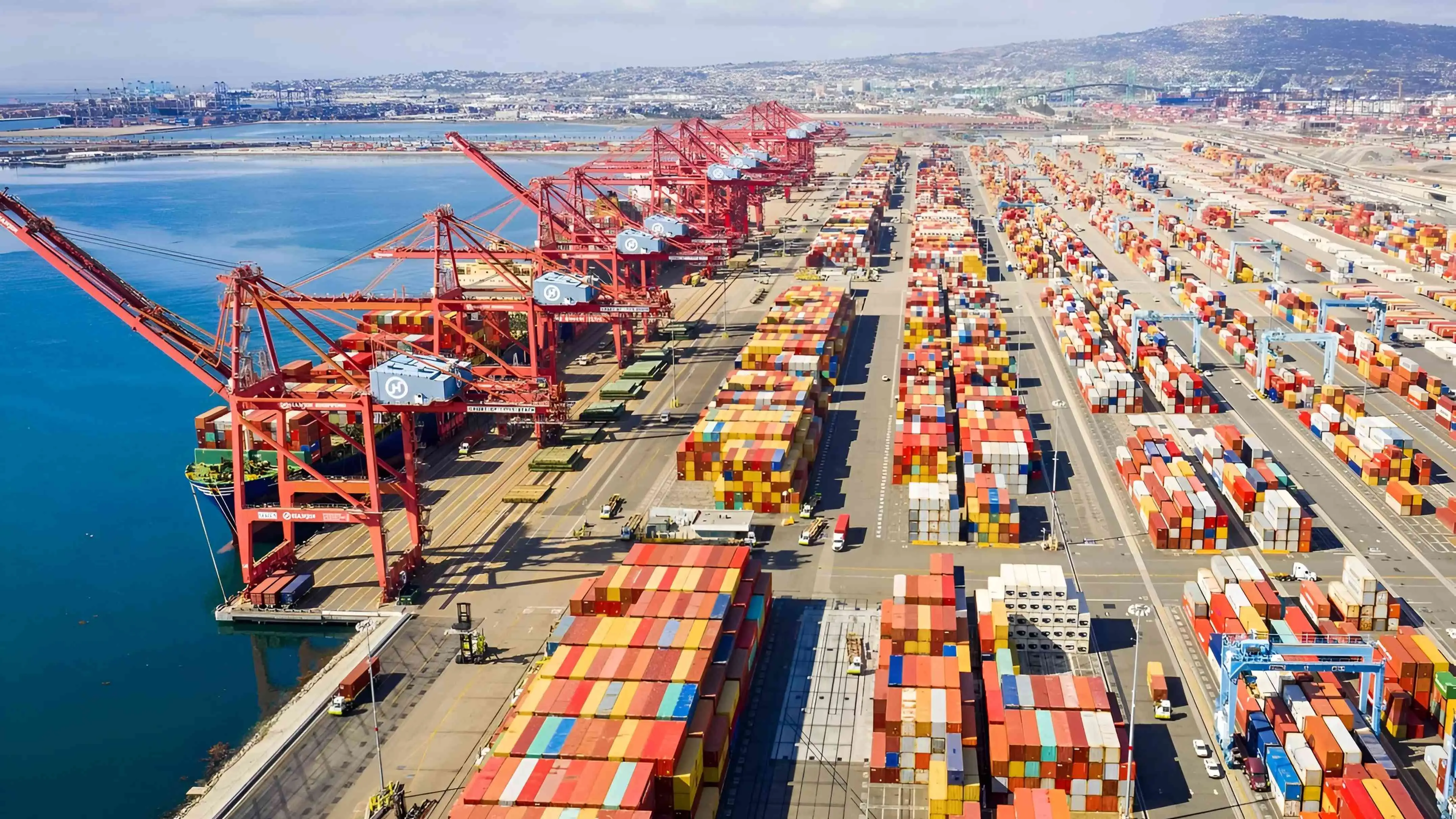 Breaking The Current Situation - Leading The Future Wave Of Foreign Trade Development