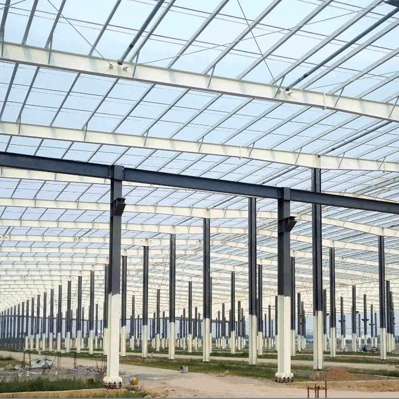 Steel Structure (5).jpg