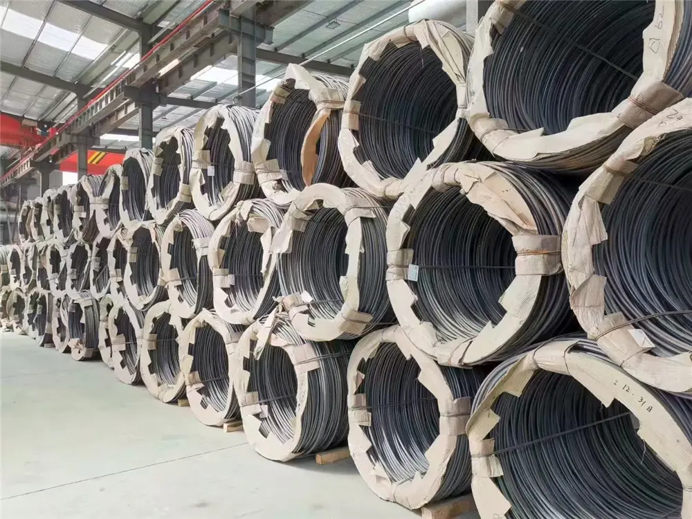 galvanized steel wire (3)