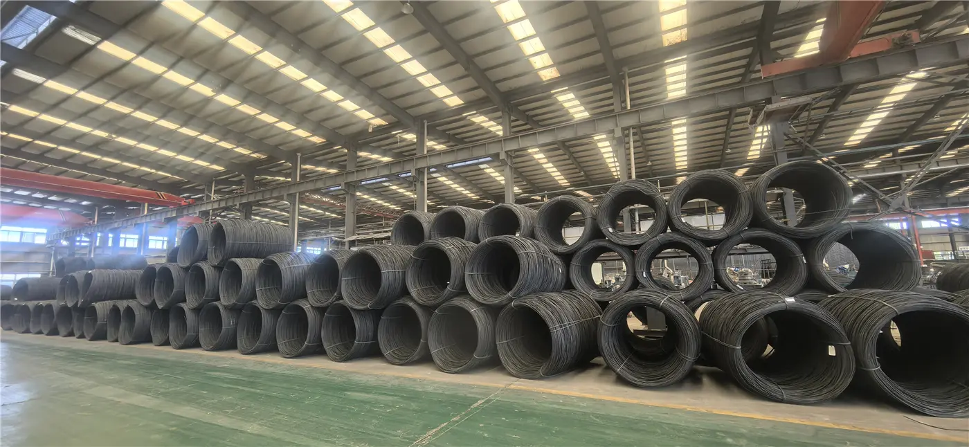 galvanized steel wire (1)
