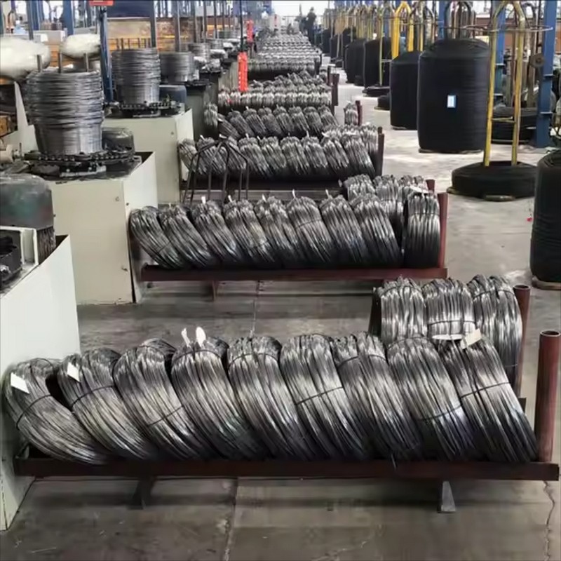 1735094611208.jpg